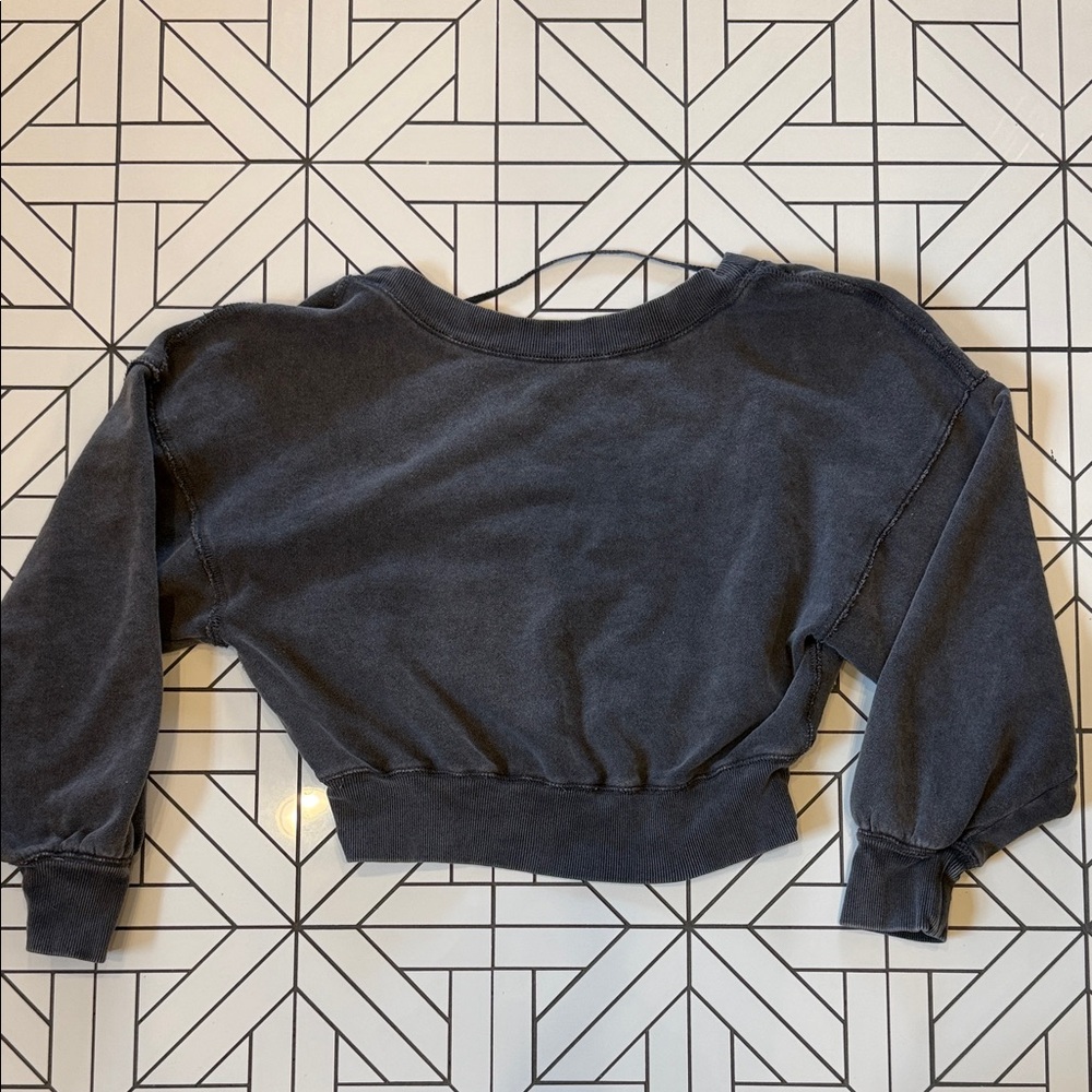 Free People Gray Cropped Sweatshirt